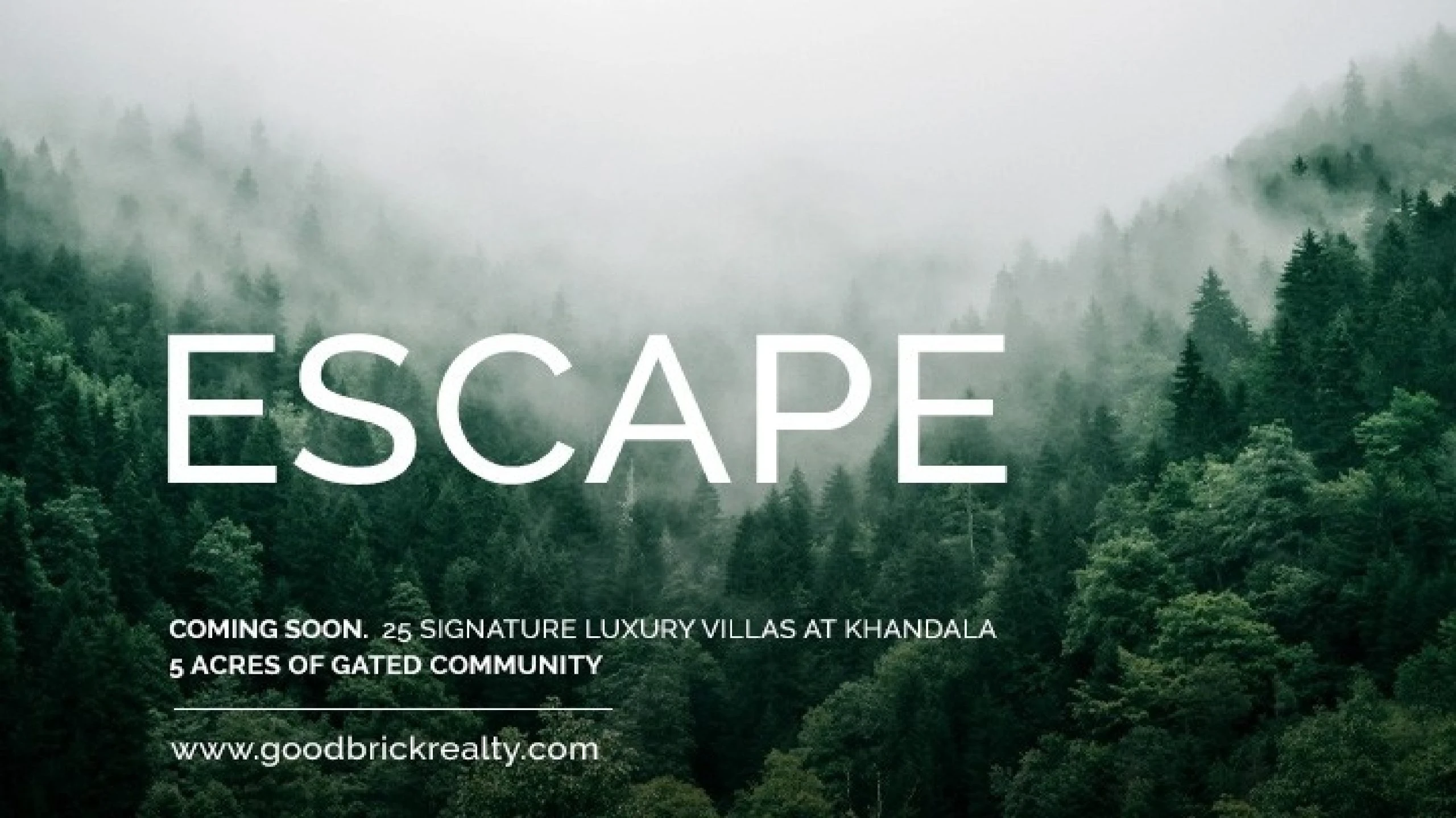 Goodbrick Realty Palazio 10